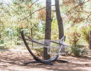 *Санаторий "Понизовка" г. Ялта