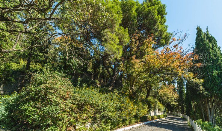 *Санаторий "Понизовка" г. Ялта